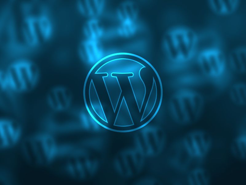 Tips for Optimizing WordPress Development